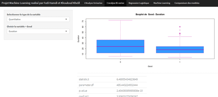German credit risk classification